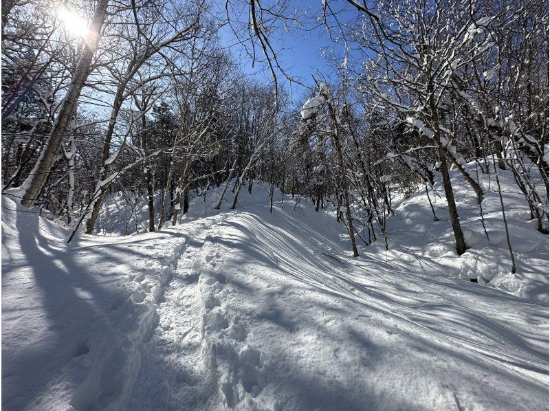 【北海道/札幌雪鞋健行】提供接送服务 - 潜伏着长尾山雀、虾夷松鼠等雪精灵的粉雪森林，或是俯瞰日本三大夜景的雪山“闪闪发光的珠宝盒”の紹介画像