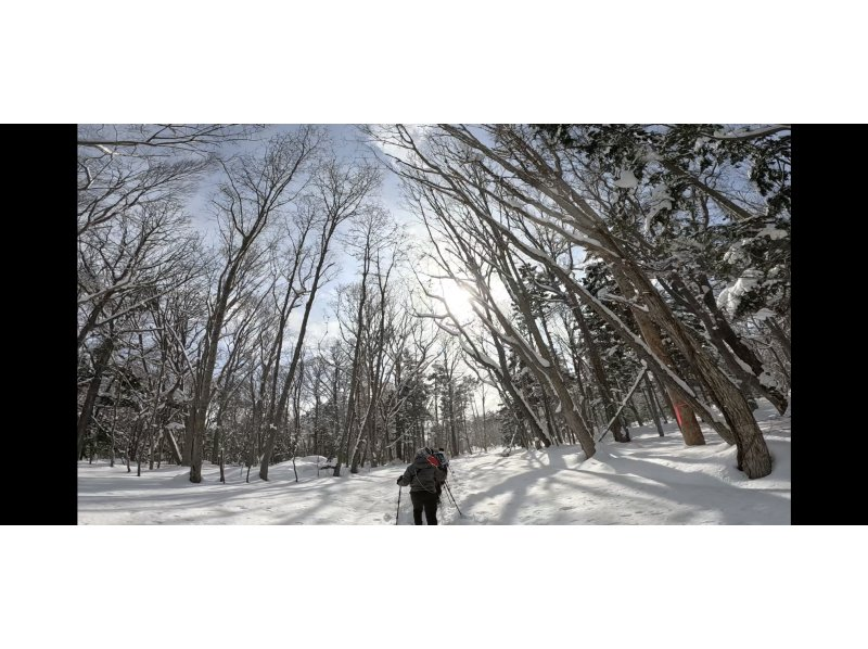 【北海道/札幌雪鞋健行】提供接送服务 - 潜伏着长尾山雀、虾夷松鼠等雪精灵的粉雪森林，或是俯瞰日本三大夜景的雪山“闪闪发光的珠宝盒”の紹介画像