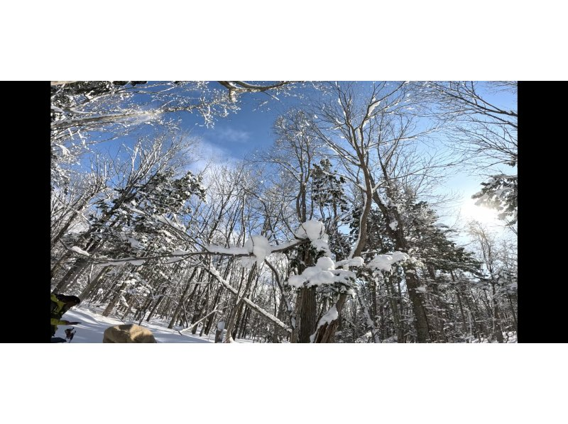 【北海道/札幌雪鞋健行】提供接送服務 - 潛伏著長尾山雀、蝦夷松鼠等雪精靈的粉雪森林，或是俯瞰日本三大夜景的雪山“閃閃發光的珠寶盒”の紹介画像