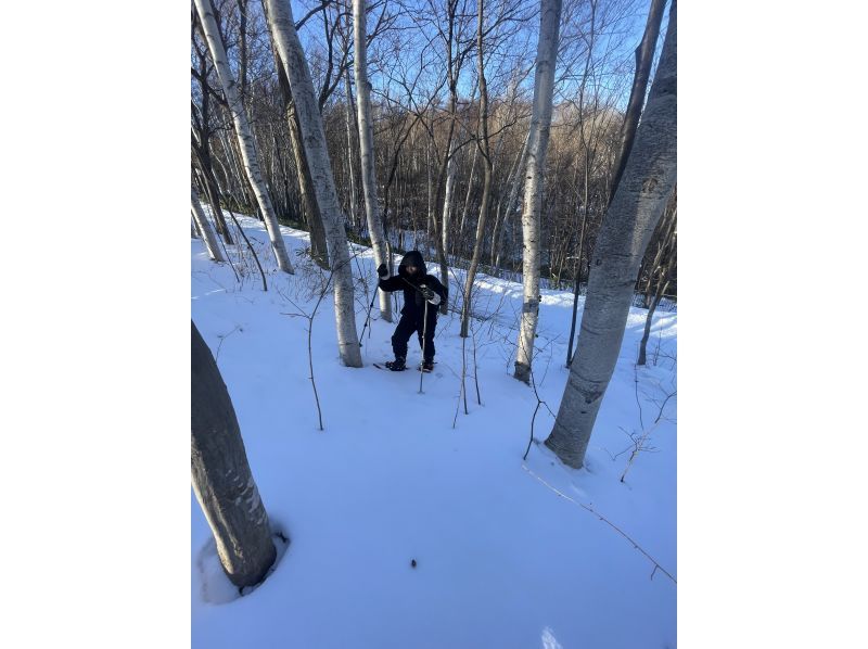 【北海道/札幌雪鞋健行】提供接送服務 - 潛伏著長尾山雀、蝦夷松鼠等雪精靈的粉雪森林，或是俯瞰日本三大夜景的雪山“閃閃發光的珠寶盒”の紹介画像