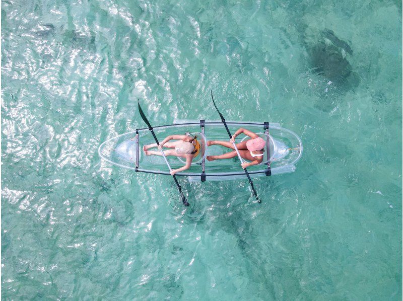 Spring Sale Special Discount For a limited time only, drone photography is included!! A real aquarium that even children under 0 can enjoy★Clear Kayak Tourの紹介画像