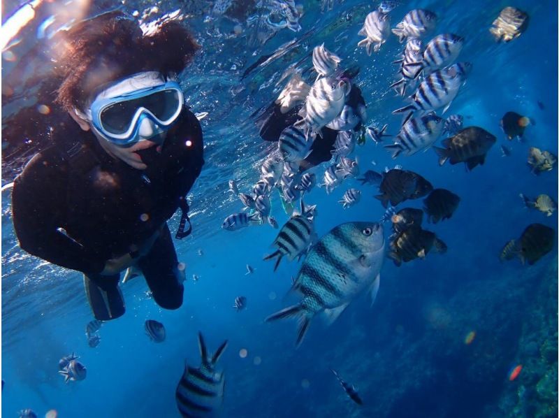 SALE [มีโอกาสสูงที่จะได้ไปถ้ำสีน้ำเงิน] เข้าร่วมแบบมือเปล่า / เช่าเหมาลำส่วนตัว / มีรถรับส่ง / ถ่ายรูป GoPro / ให้เช่าชุดว่ายน้ำ / พนักงานหญิง / ไม่มีอุบัติเหตุの紹介画像