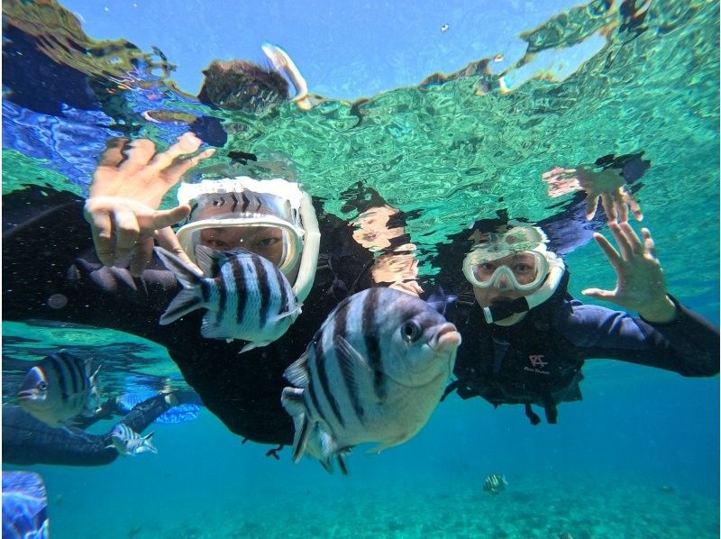 SALE [มีโอกาสสูงที่จะได้ไปถ้ำสีน้ำเงิน] เข้าร่วมแบบมือเปล่า / เช่าเหมาลำส่วนตัว / มีรถรับส่ง / ถ่ายรูป GoPro / ให้เช่าชุดว่ายน้ำ / พนักงานหญิง / ไม่มีอุบัติเหตุの紹介画像