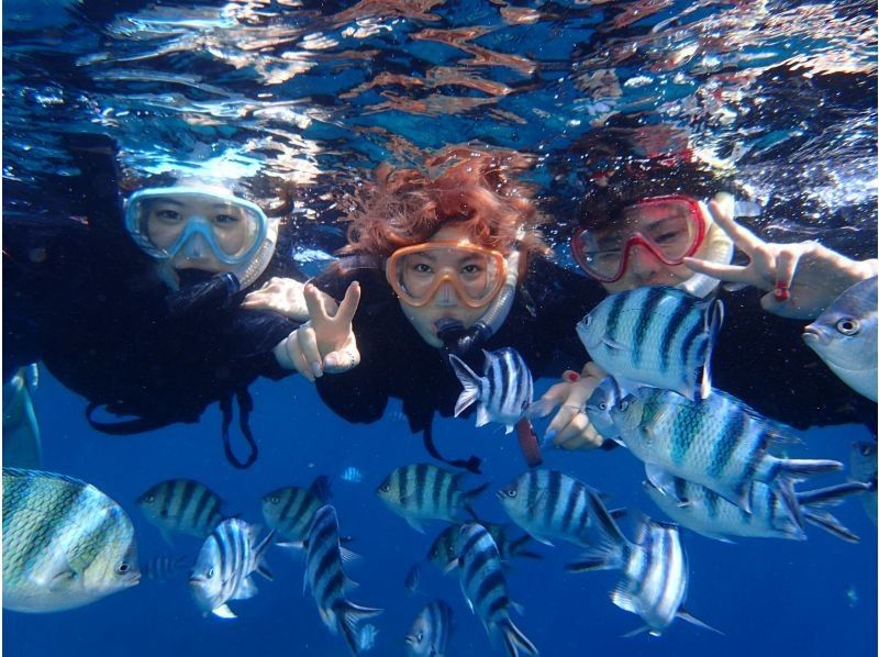 SALE [มีโอกาสสูงที่จะได้ไปถ้ำสีน้ำเงิน] เข้าร่วมแบบมือเปล่า / เช่าเหมาลำส่วนตัว / มีรถรับส่ง / ถ่ายรูป GoPro / ให้เช่าชุดว่ายน้ำ / พนักงานหญิง / ไม่มีอุบัติเหตุの紹介画像