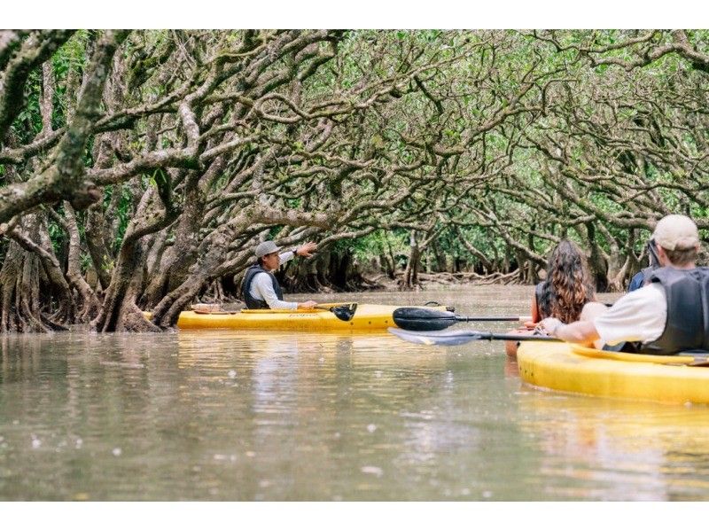【冬でも楽しい！】秘境マングローブのトンネルを1組プライベート案内！奄美大島満潮マングローブカヌーツアー！手ぶら参加｜初心者歓迎｜家族歓迎の紹介画像