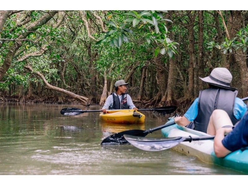 【冬でも楽しい！】秘境マングローブのトンネルを1組プライベート案内！奄美大島満潮マングローブカヌーツアー！手ぶら参加｜初心者歓迎｜家族歓迎の紹介画像