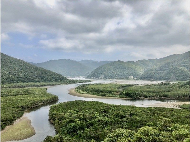 【冬でも楽しい！】秘境マングローブのトンネルを1組プライベート案内！奄美大島満潮マングローブカヌーツアー！手ぶら参加｜初心者歓迎｜家族歓迎の紹介画像