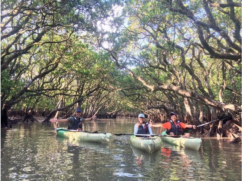 100-minute mangrove canoe tour on Amami Oshima! A private tour through the mangrove tunnels at high tide! Private tour for the whole family!の紹介画像