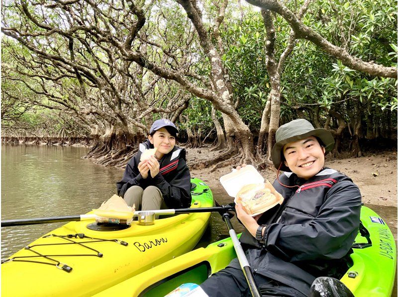  [Amami Oshima] Early morning mangrove kayak tour (120 minutes)