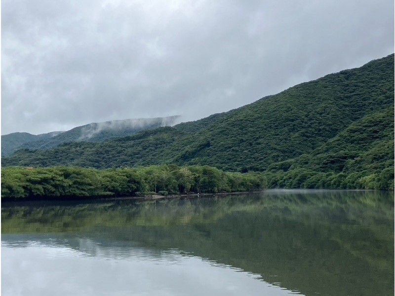 カヌーの上で朝食付き! 早朝の奄美大島マングローブカヌーツアー （120分）｜認定ガイドがご案内の紹介画像