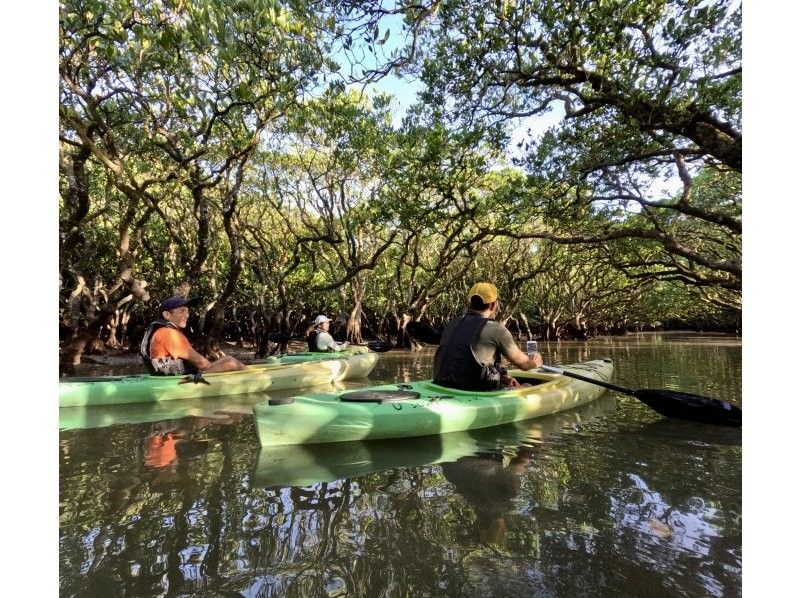  [Amami Oshima] Early morning mangrove kayak tour (120 minutes)