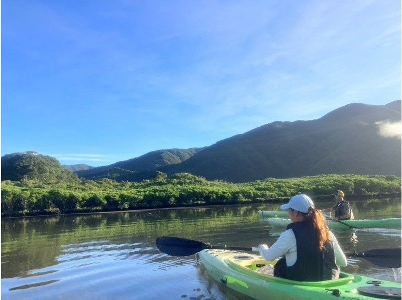  [Amami Oshima] Early morning mangrove kayaking tour (120 minutes) | Island-wide transfers | Breakfast included | Certified guides guide youの紹介画像