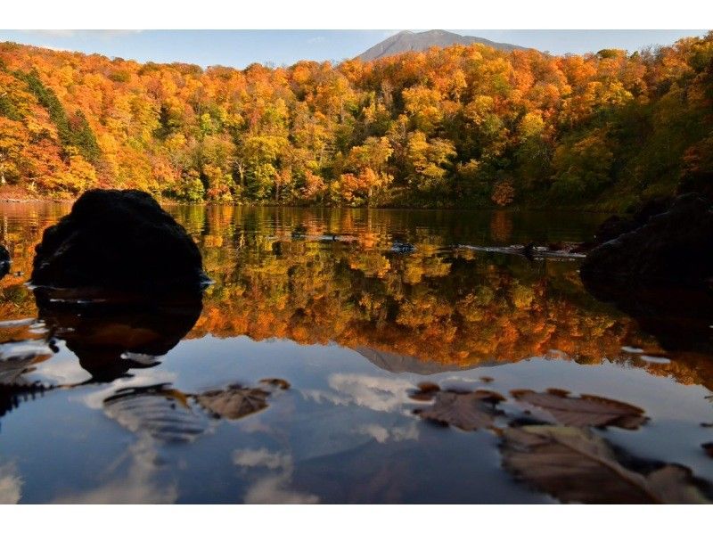 【北海道・ニセコ】秋限定の紅葉トレッキング　羊蹄山麓の半月湖一周ツアー