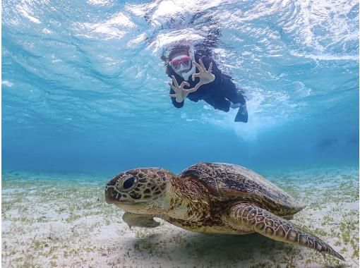 【宮古島ウミガメシュノーケル】《☆冬・雨でも大歓迎!》当日予約OK ! ☆泳ぎレクチャーで安心!レンタル・写真無料! 【宮古島ウミガメシュノーケル】《☆冬・雨でも大歓迎!》当日予約OK ! ☆泳ぎレクチャーで安心!レンタル・写真無料!