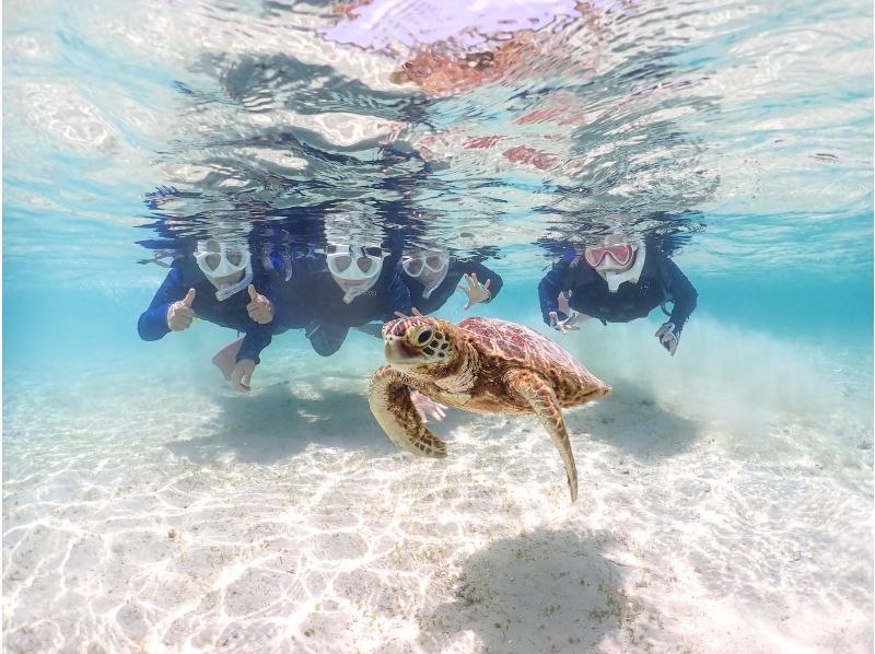 Miyakojima "100% encounter rate" Best value for money! [Sea turtles, tropical fish, and coral snorkeling] Smiling staff ⭐️ Full refund guarantee ⭐️ Free rental and photos!の紹介画像