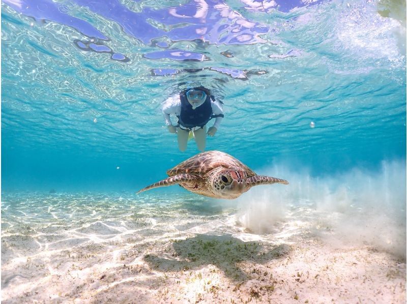 Miyakojima "100% encounter rate" Best value for money! [Sea turtles, tropical fish, and coral snorkeling] Smiling staff ⭐️ Full refund guarantee ⭐️ Free rental and photos!の紹介画像