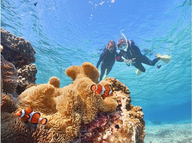 【春休み・GW先取り】宮古島ウミガメシュノーケル《ファミリー・学生》★5歳〜大人まで★高画質写真・動画無料＆手ぶらで参加の紹介画像