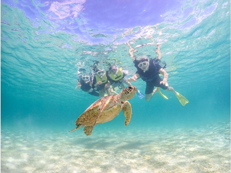 宮古島《遭遇率100％》コスパ最強！【海亀&熱帯魚&珊瑚シュノーケル】笑顔満点スタッフ⭐️全額返金保証⭐️レンタル・写真無料！の紹介画像