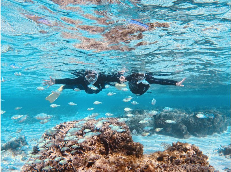 【春休み・GW先取り】宮古島ウミガメシュノーケル《ファミリー・学生》★5歳〜大人まで★高画質写真・動画無料＆手ぶらで参加の紹介画像