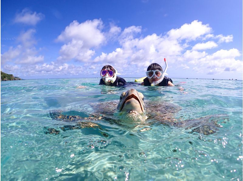 Miyakojima "100% encounter rate" Best value for money! [Sea turtles, tropical fish, and coral snorkeling] Smiling staff ⭐️ Full refund guarantee ⭐️ Free rental and photos!の紹介画像