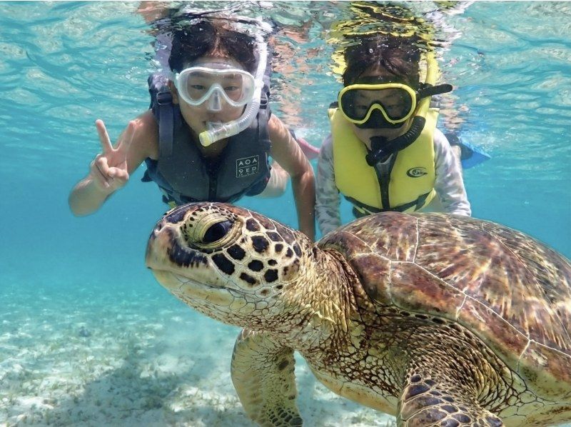 【春休み・GW先取り】宮古島ウミガメシュノーケル《ファミリー・学生》★5歳〜大人まで★高画質写真・動画無料＆手ぶらで参加の紹介画像