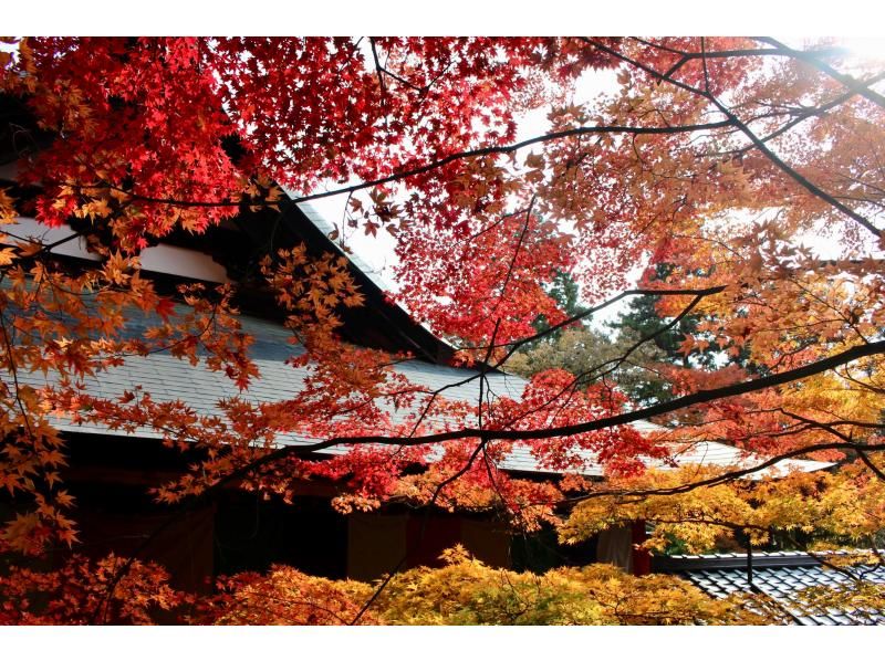 [Osaka/Takatsuki] Shogi license tour! Experience the charm of shogi and Japanese culture at “Shogi Town Takatsuki”! ! <1 night and 2 days, Saturday, December 2nd night>の紹介画像