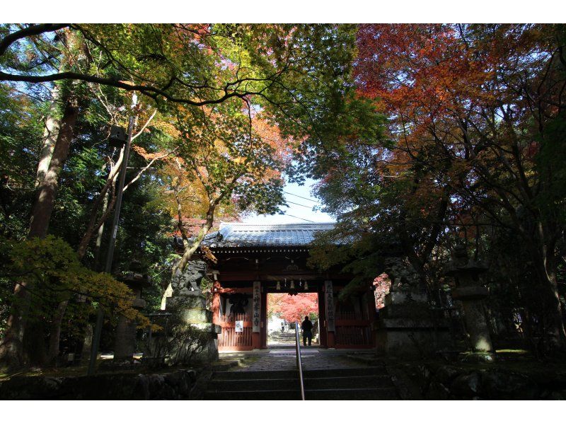 [Osaka/Takatsuki] Shogi license tour! Experience the charm of shogi and Japanese culture at “Shogi Town Takatsuki”! ! <1 night 2 days/December 3rd night or December 4th night>の紹介画像