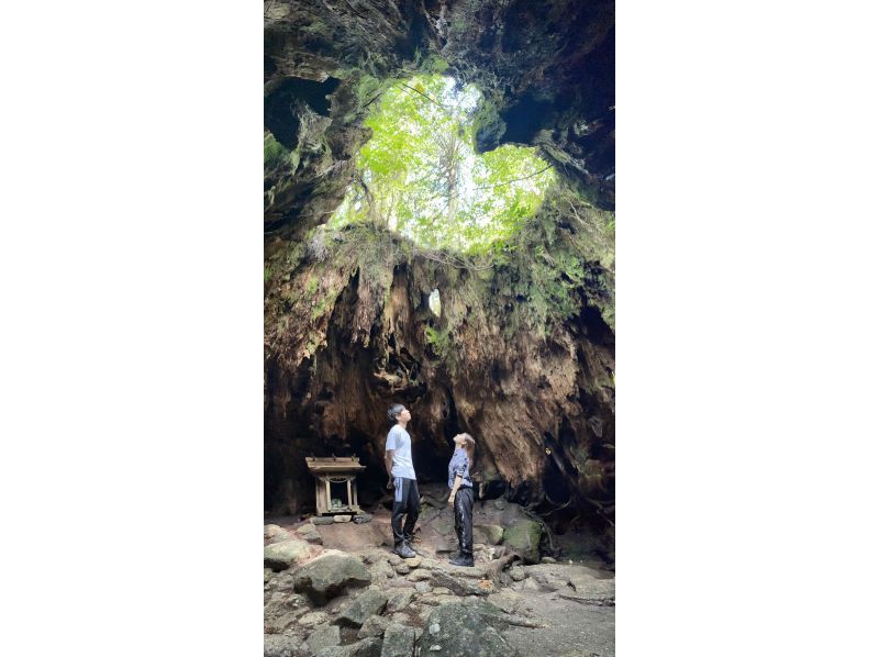 【鹿児島・熊毛郡】奇跡のハートを見に行こう！ウィルソン株ツアー♪初心者にもおすすめ！の紹介画像