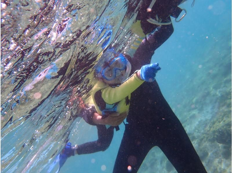 [Approximately 15 minutes from Itoman, Okinawa | Private tour for one group] Snorkeling in a natural aquatic environment, exploring sea turtles and over 100 species of creatures | Beginners welcomeの紹介画像