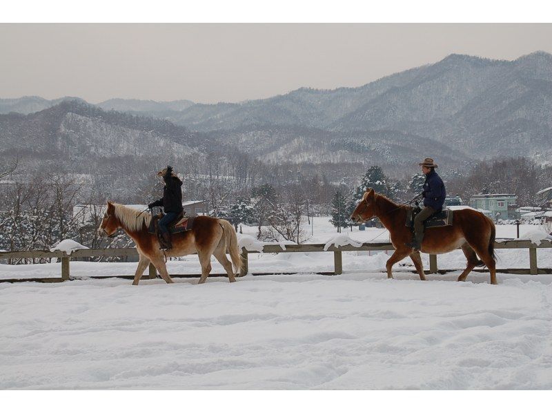 【北海道・八剣山（札幌）】カウボーイの町「ワイルドムスタングス」で雪中乗馬！送迎車付き乗馬体験(50分)の紹介画像