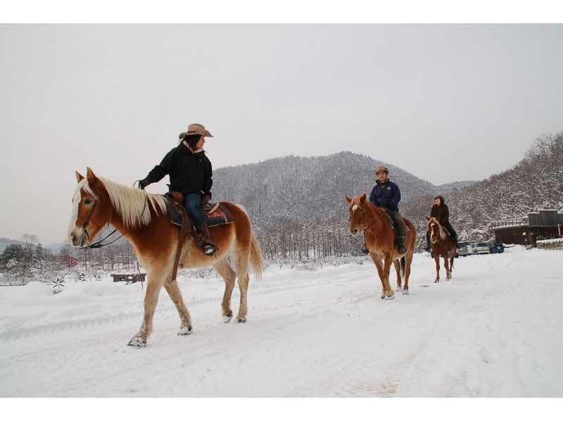 【北海道・八剣山（札幌）】カウボーイの町「ワイルドムスタングス」で雪中乗馬！送迎車付き乗馬体験(80分)の紹介画像