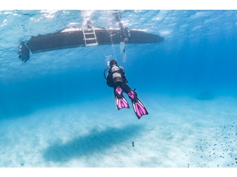 【自社ボートでのんびり～】水納島/瀬底島・本部町でファンダイビング♪少人数制♪最大4ダイブ可♪船に綺麗なトイレあります♪の紹介画像