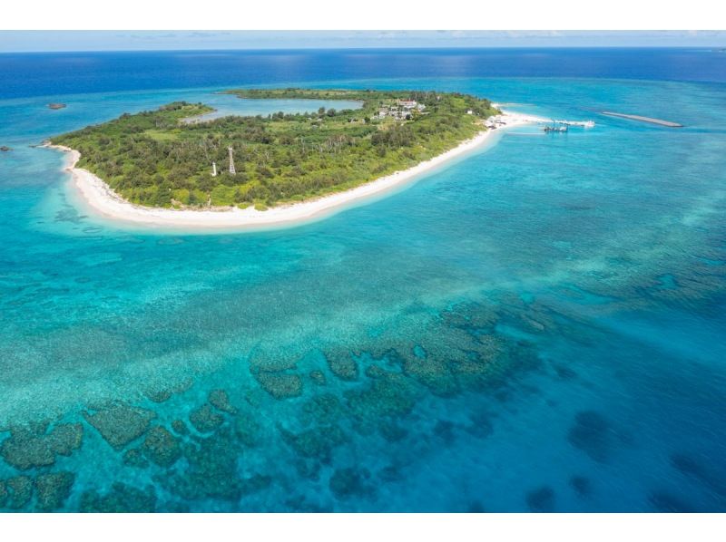 【自社ボートでのんびり～】水納島/瀬底島・本部町でファンダイビング♪少人数制♪最大4ダイブ可♪船に綺麗なトイレあります♪の紹介画像