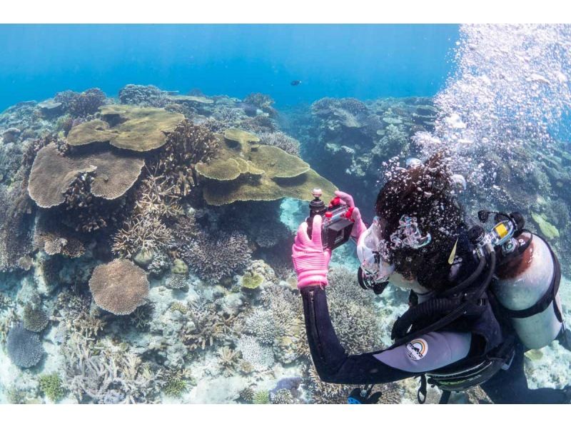 【自社ボートでのんびり～】水納島/瀬底島・本部町でファンダイビング♪少人数制♪最大4ダイブ可♪船に綺麗なトイレあります♪の紹介画像