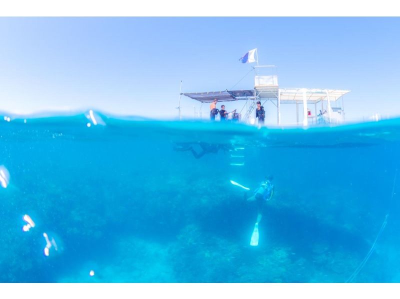 【自社ボートでのんびり～】水納島/瀬底島・本部町でファンダイビング♪少人数制♪最大4ダイブ可♪船に綺麗なトイレあります♪の紹介画像