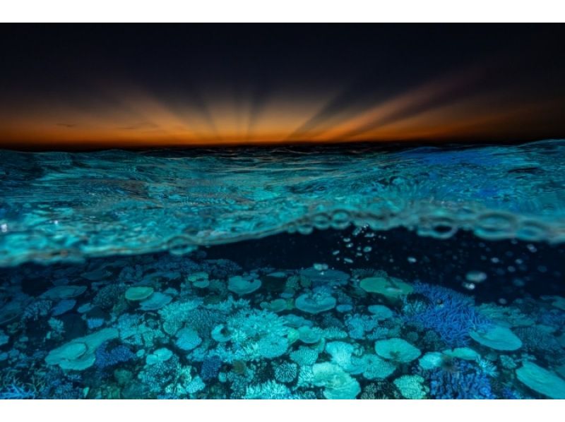 【自社ボートでのんびり～】水納島/瀬底島・本部町でファンダイビング♪少人数制♪最大4ダイブ可♪船に綺麗なトイレあります♪の紹介画像
