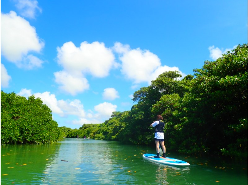 [Ishigaki Island/1 day] Conquer the popular spots on Ishigaki Island! SUP/Canoe available in Kabira Bay x Natural Monument Mangrove★Enjoy the sea and river★Spring sale underwayの紹介画像