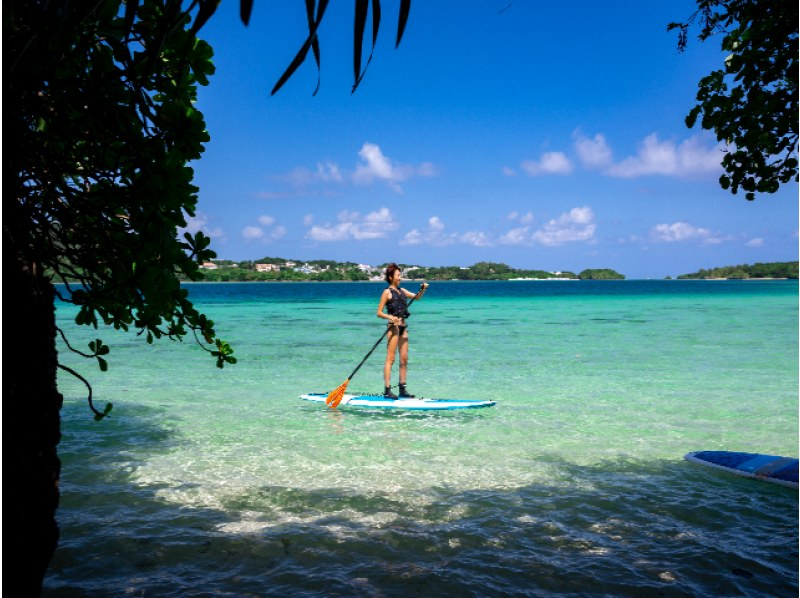 [Ishigaki Island/1 day] Conquer the popular spots of Ishigaki Island! Choose from SUP or canoeing in Kabira Bay and the mangroves that are a natural monument. Free pick-up and drop-off and photo data!の紹介画像