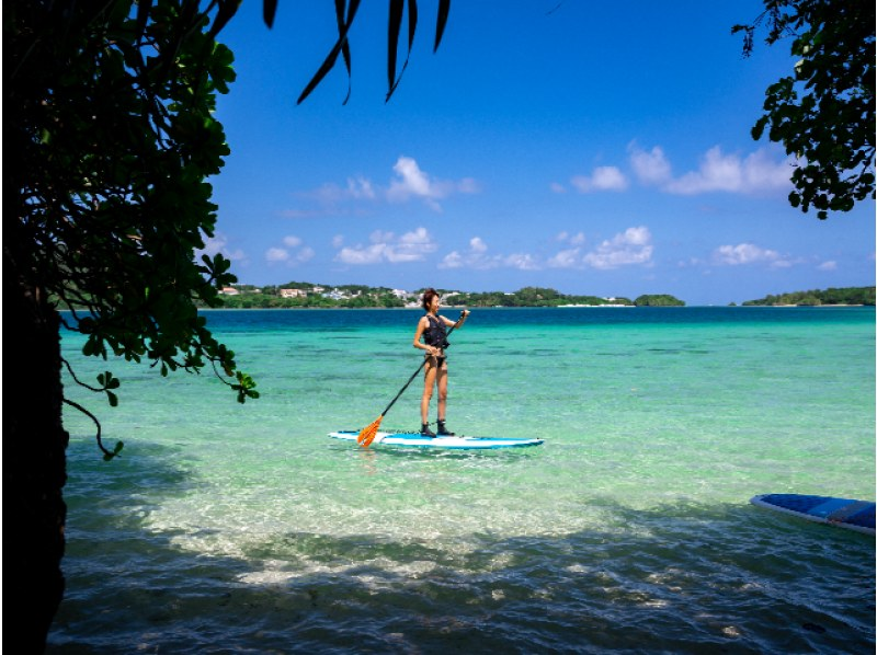 SALE! [Ishigaki Island/1 day] Conquer Ishigaki Island's popular spots! Choose from SUP/canoeing in Kabira Bay and the natural monument mangrove ★ Free pick-up and drop-off/photo data!の紹介画像