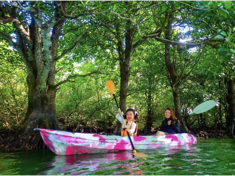 SALE! [Ishigaki Island/1 day] Conquer Ishigaki Island's popular spots! Choose from SUP/canoeing in Kabira Bay and the natural monument mangrove ★ Free pick-up and drop-off/photo data!の紹介画像