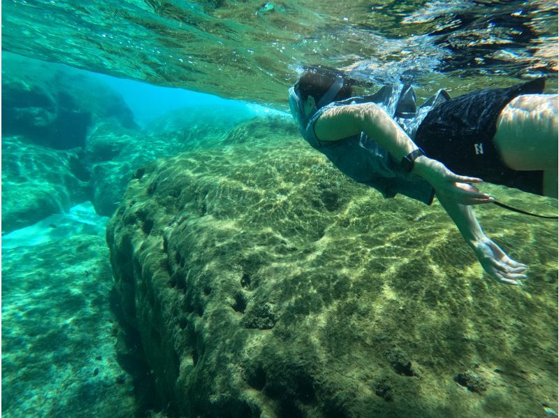 [Yakushima/Nagata] Snorkeling at Nagata Beach, close to Inaka Beachの紹介画像