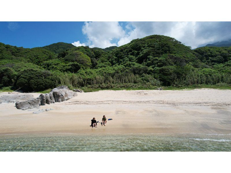 [Yakushima/Nagata] Snorkeling at Nagata Beach, close to Inaka Beachの紹介画像