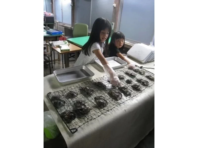 [Mie/Shima] Includes Akoya pearl extraction experience! Making pearl accessories with parent and child♪の紹介画像