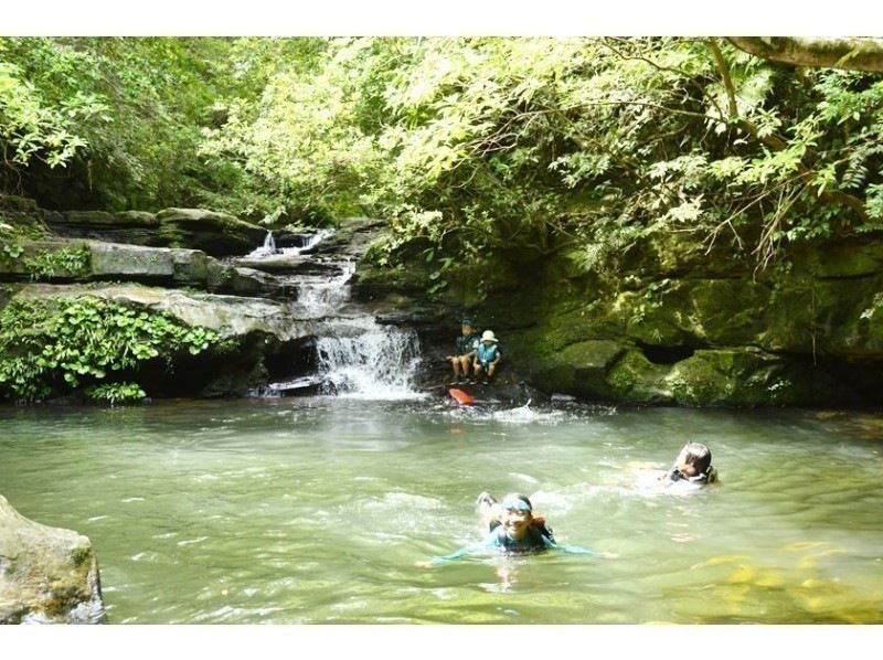 【アクティビティ＋竹富島】西表島半日滝トレッキング（またはキャニオニング）＋選べる竹富島観光＜7時間～／昼食付／E-1T＞の紹介画像