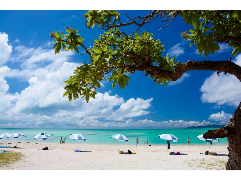 【滝トレ＋竹富2島めぐり】西表島滝トレッキング（またはキャニオニング）＋選べる竹富島観光＜7時間～／昼食付／E-1T＞の紹介画像