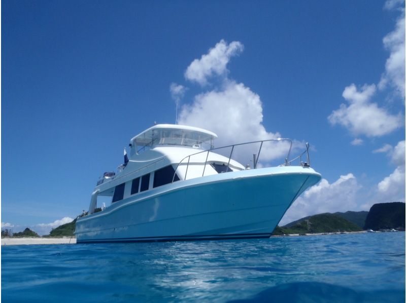 早期予約割引！！《那覇発・ケラマ日帰り》ケラマ1日ボートファンダイビング　キャンペーン　2ＤＩＶＥ（器材レンタル無料・那覇市内送迎）の紹介画像