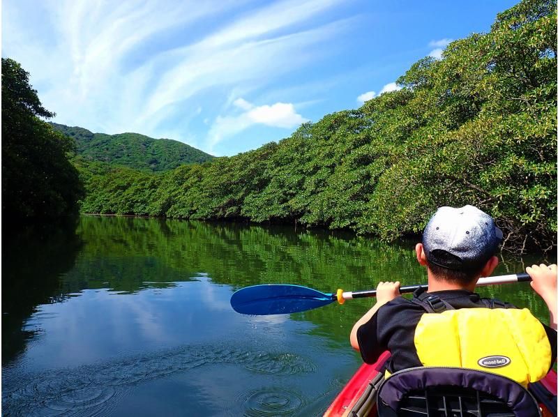 「SALE！」【沖縄・西表島】人気の由布島観光とジャングル探検！カヌー＆トレッキングで滝壺を目指そう！（昼食＆おやつ付）の紹介画像