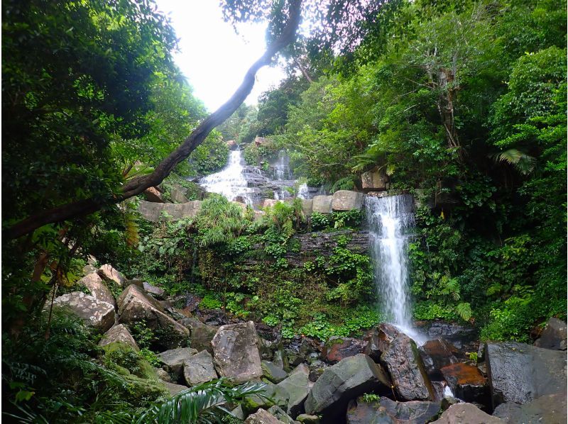 Iriomote Island Trekking Recommended Half-Day Tour Ranking Hidden Geta Falls A stepped waterfall with massive rock walls and water cascading down in stages A mysterious landscape with plants and waterfalls