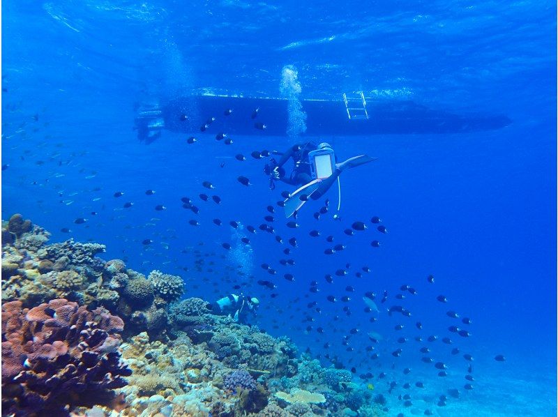 [Motobu Town/Minna Island/Sesoko Island] Experience boat diving in the overwhelmingly transparent sea (2 dives) ☆ Includes use of the spectacular footbath cafe ☆ OK for one person! Photo and video gifts!の紹介画像