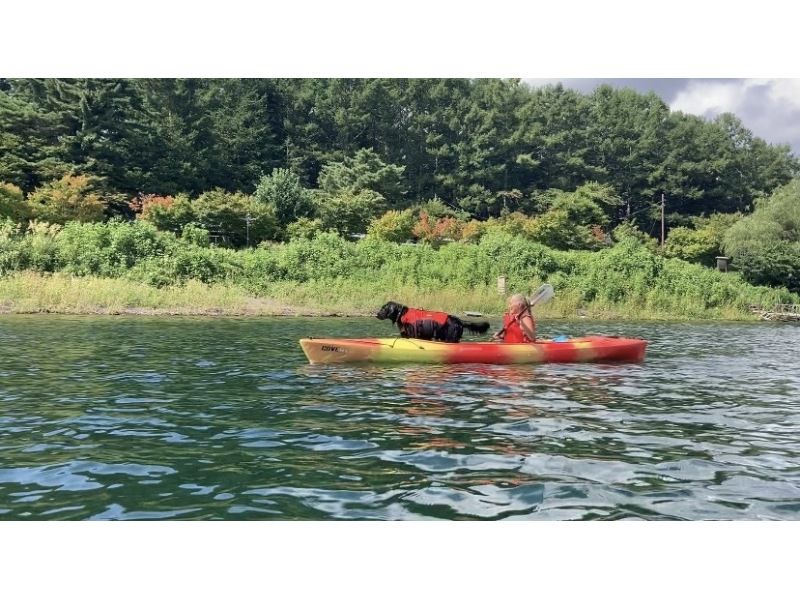 【山梨・河口湖】ウィンターカヤック　冬の河口湖散策コース　初心者やお子様もガイドがしっかりサポート！の紹介画像